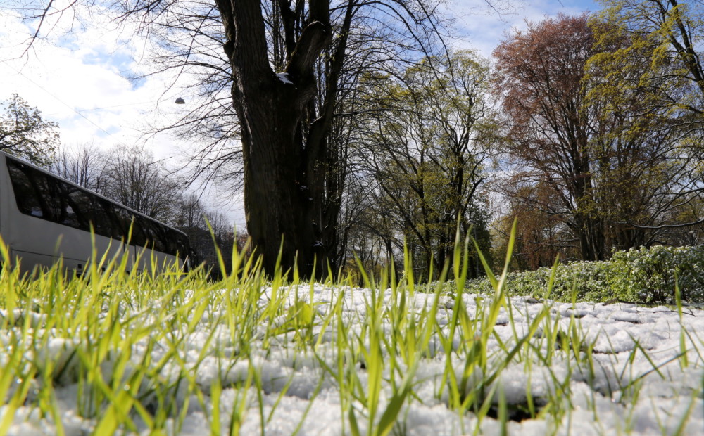 Dabas vērotāja prognozes februārim; dziļa sniega sega būšot līdz pat pavasarim