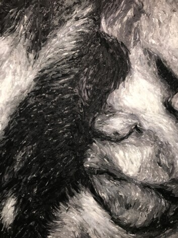 Diāna Janušone "Sākums".