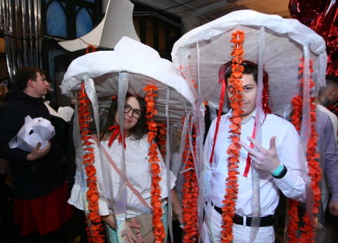 Image result for karnevÄls