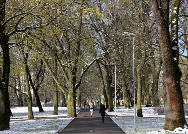 Otrdien valstī ieplūdīs siltāks gaiss, temperatūra pieaugs līdz pat +3 grādiem