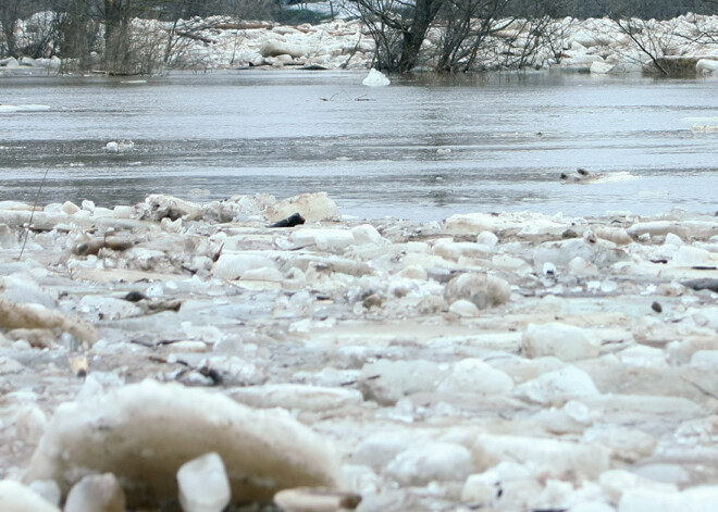 Straujš atkusnis Daugavpils novadā var radīt plūdus