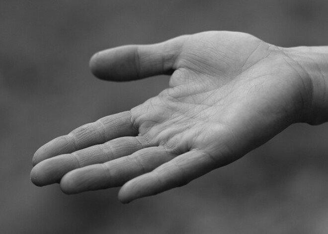 Мешок с 26 парами человеческих рук нашли в пригороде Хабаровска