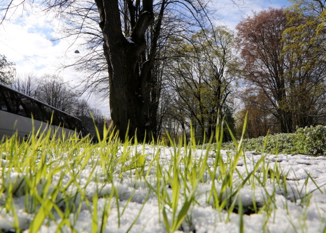 Jau šodien būtiski paaugstināsies gaisa temperatūra