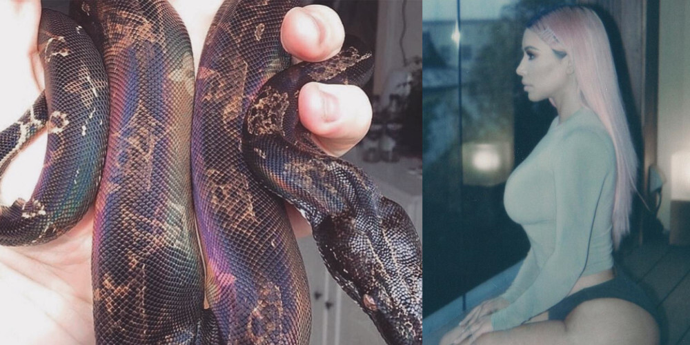 Nežēlīga cietsirdība? Vai Kima Kardašjana lepojas ar dzīvu čūsku, kuras ādā iededzināta firmas zīme?