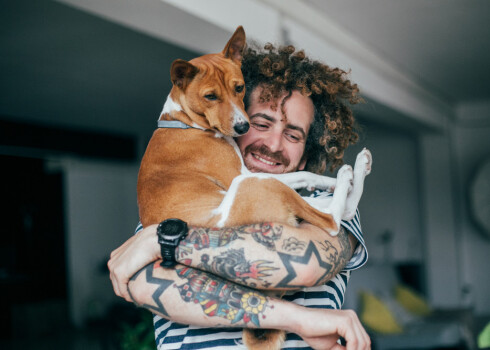 Tā kā mājās dzīvojoši suņi saimnieka ģimeni uztver kā savu baru, viņi var īpaši pieķerties kādam ģimenes loceklim, un šķiršanās no šā cilvēka dažiem dzīvniekiem var izraisīt trauksmi.