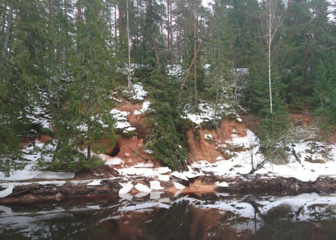 Iebrukusi Latvijas garākā ala; cilvēkiem ieteikts nemēģināt to apskatīt tuvumā