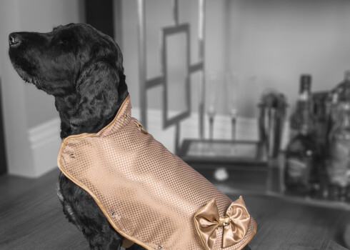 Mētelīša darināšanā izmantots 24 karātu zelta diegs. Atkarībā no saimnieka rocības, tērps var būt rotāts ar īstiem briljantiem vai „Swarovski” kristāliem. Tā cena svārstīsies robežās no 750 000 ASV dolāru līdz vienam miljonam.