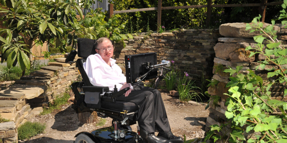 Stīvens Viljams Hokings (Stephen William Hawking; dzimis 1942. gada 8. janvārī, miris 2018. gada 14. martā) bija angļu zinātnieks, darbojies teorētiskajā fizikā un matemātikā. Viņš īpaši pievērsies laika un telpas īpašībām, kā arī laiktelpas neregularitātēm, ko dēvē par singularitātēm.