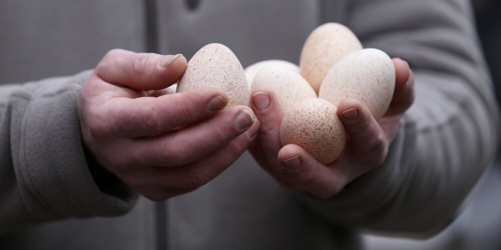 Ēdam olas bez panikas - tās nav jāizslēdz no uztura holesterīna dēļ
