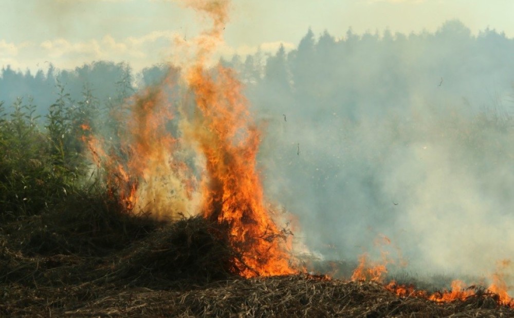 Pārdaugavā izcēlies plašs kūlas ugunsgrēks; liesmas likvidētas
