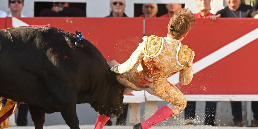 Шокирующие фото: 20-летний тореадор простил быка, который насадил его ягодицы на рог