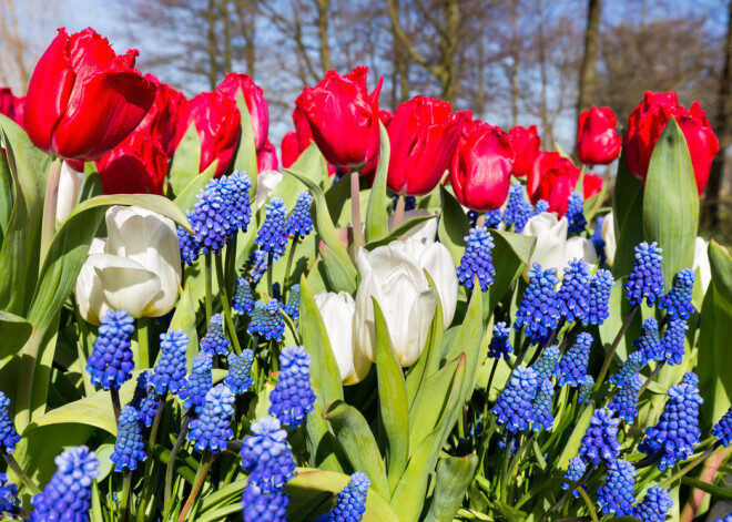 Tavs horoskops šodienai. Pirmdiena, 9. aprīlis