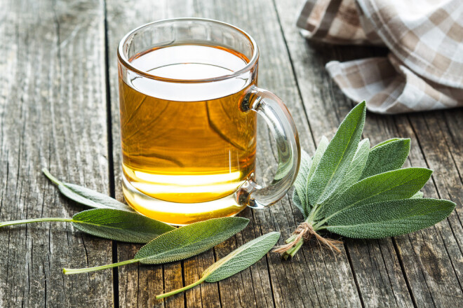 No salvijas lapām var pagatavot ļoti gardu aromātisku tēju.