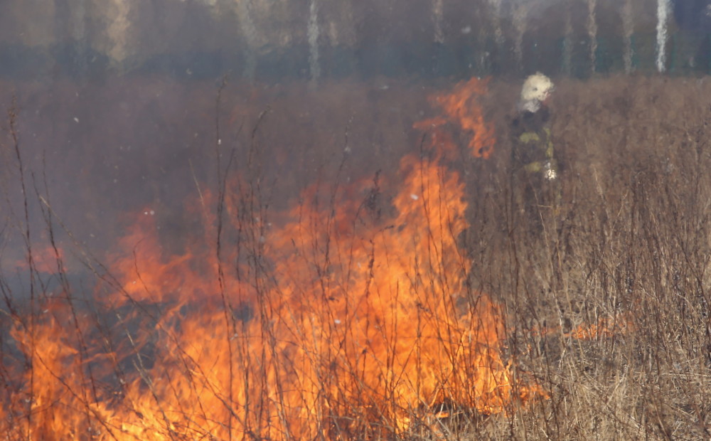Arī šodien ugunsdzēsēji turpina cīnīties ar kūlas ugunsgrēkiem; nodzēsti jau 45