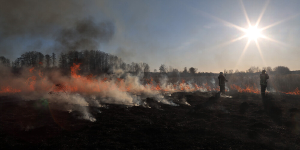 В понедельник потушено 38 пожаров прошлогодней травы
