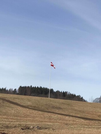 Uģa Joksta uzslietais lielizmēra karogs paceļas pāri visiem Līgatnes pakalniem un plīvo pat vismazākajā vējā.