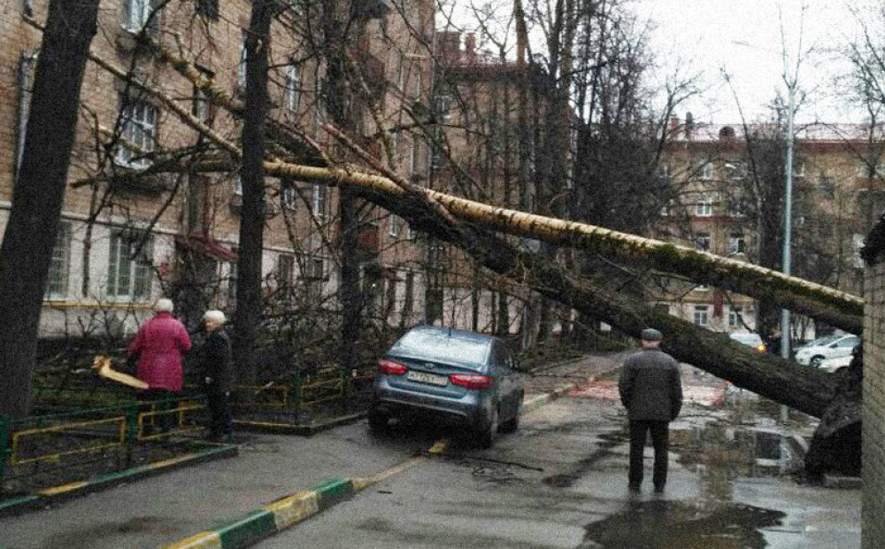 Ураган в москве последствия. Ураганный ветер в Москве. Ураган в Москве. Сильный ветер в городе.