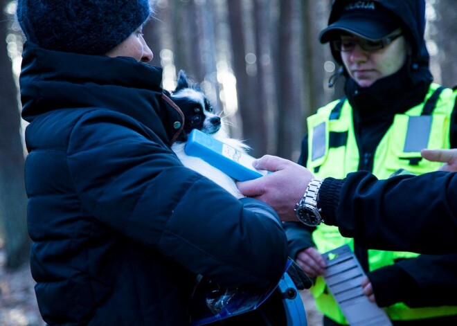 Rīgas domē spriež, kā piespiest suņu īpašniekus tomēr nomaksāt ikgadējo 10 eiro nodevu