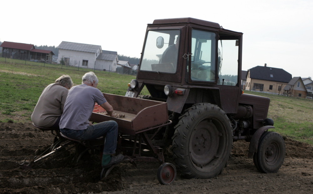 Tūlīt Latvijā varētu sākties masveida kartupeļu stādīšanas darbi