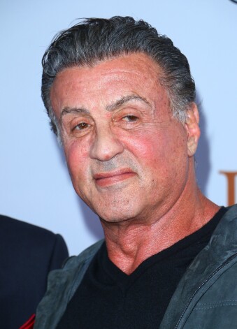 Stallone aizvadītajā gadā.