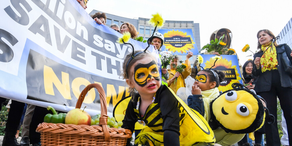 Eiropas vairākums nobalso par labu bitēm