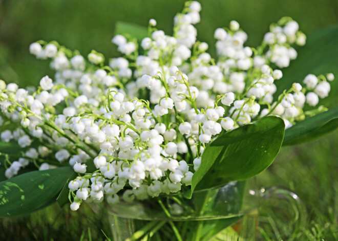 Tavs horoskops šodienai. Pirmdiena, 21. maijs
