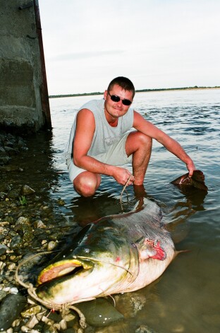 Te redzams mans draugs Kaspars ar 2005.gadā Lejasvolgā noķertu 55kilo samu. Bilde tapusi vēl ar mehānisko Canon kameru un jutīgu Fuji400 filmiņu – tāpēc tās košās krāsas un ēnspēles.