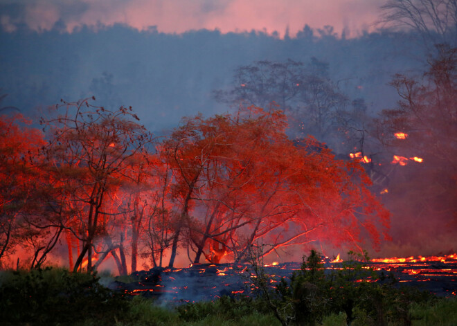 Kīlauea vulkāna lavas straume Havaju salās tuvojas ģeotermālai spēkstacijai. Darbinieki centās to izslēgt, lai novērstu nekontrolējamu toksisku gāzes noplūdi.