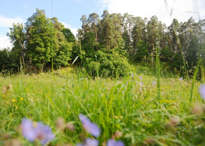 Latvijas iedzīvotāju piederības sajūtu valstij visvairāk veicina daba