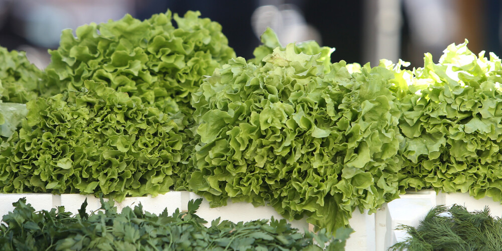 Pieci mīti par zaļajiem salātiem, kurus, iespējams, uztvēri kā patiesību