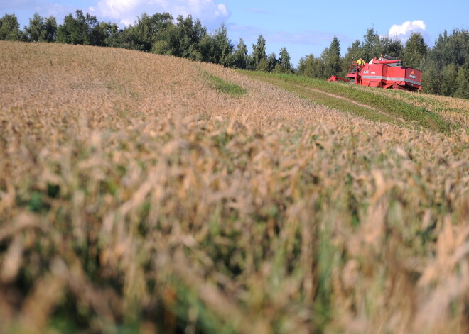 Mājaslapa par kviešiem teju pusmiljona vērtībā. Iestāde taisnojas par dārgo projektu