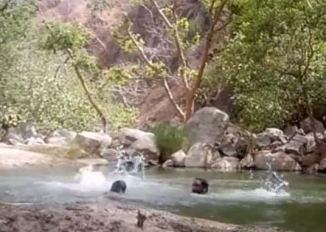 Три друга случайно засняли на видео собственную смерть
