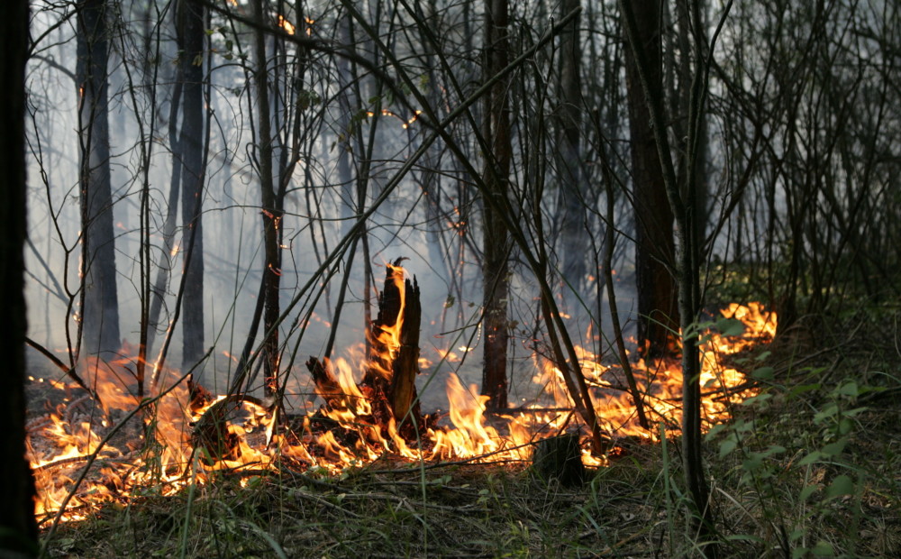 Šodien Latvijā dzēsts 21 meža ugunsgrēks