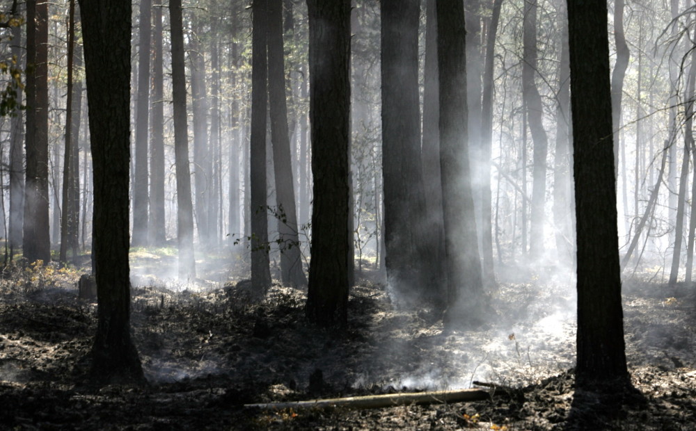 Šodien izdeguši vairāk nekā 30 hektāri Latvijas mežu