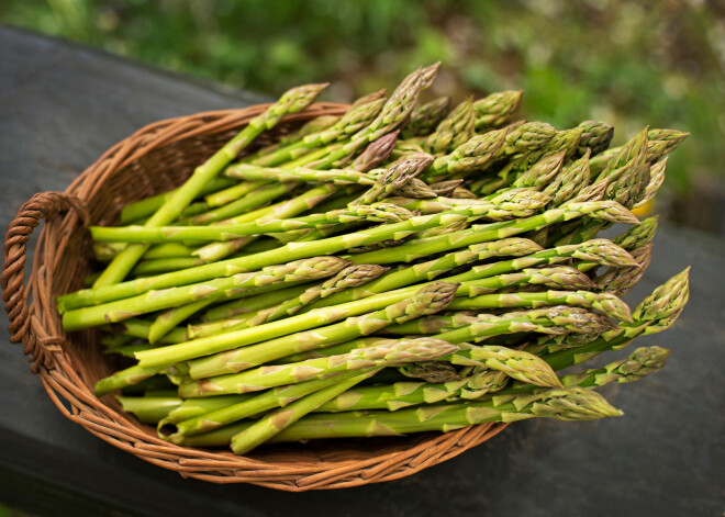 Ēdamais "ziloņkauls" ar iespaidīgu CV - sparģelis