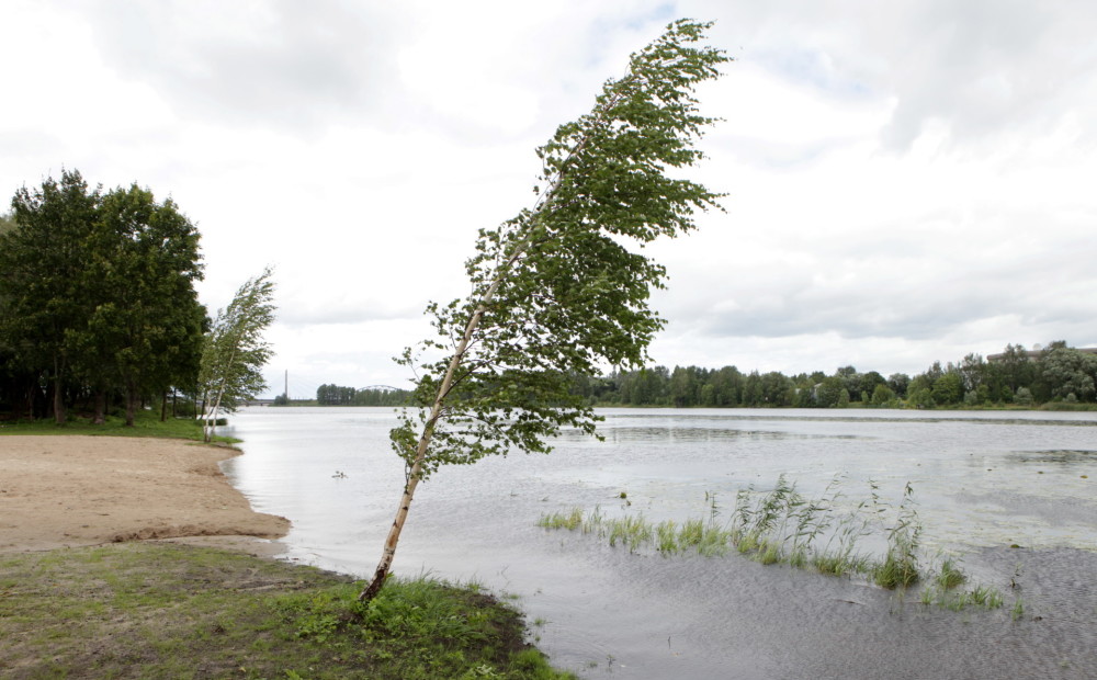 Trešdien atkal gaidāms brāzmains vējš; diena nebūs sevišķi silta | Jauns.lv