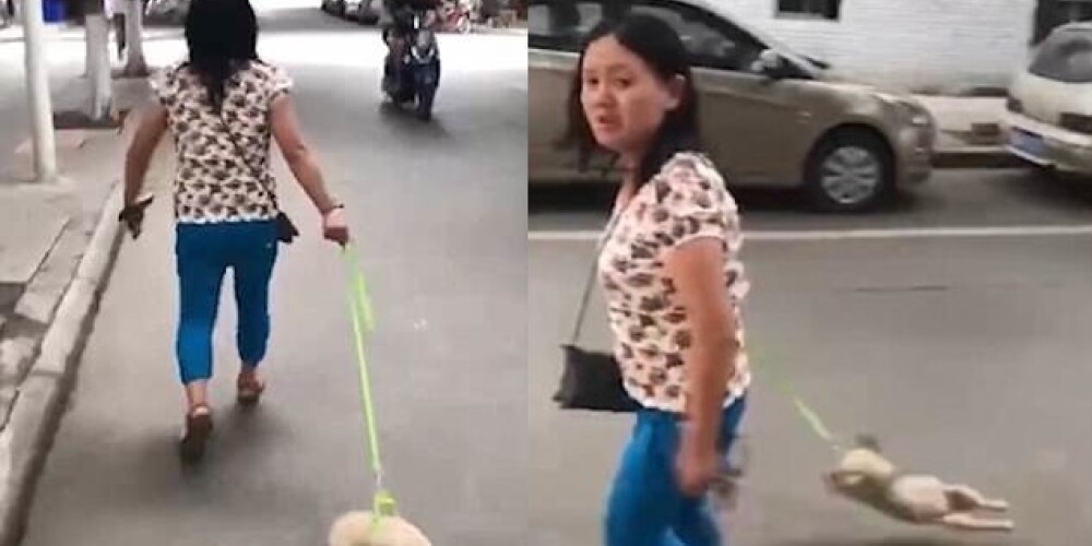 Невероятная жестокость: женщина «гуляла» со щенком на поводке, размахивая и ударяя им об землю