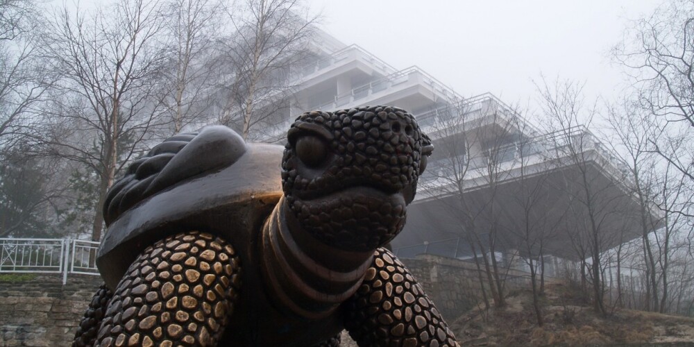 Slaveno Jūrmalas simbolu – bronzas bruņurupuci - tā īpašniece Aivija Bārda pošas pārdot