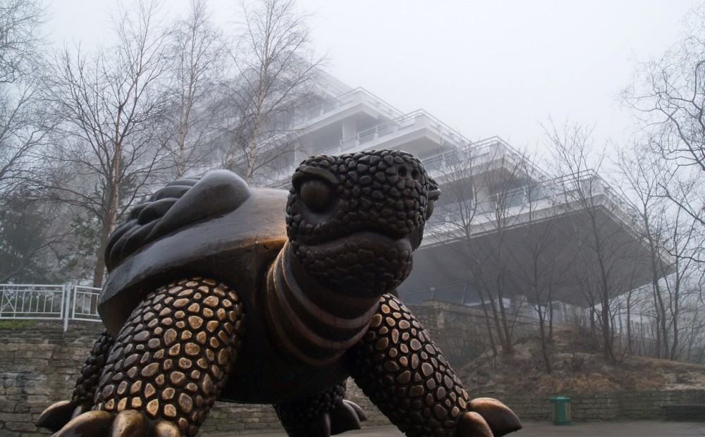Slaveno Jūrmalas simbolu – bronzas bruņurupuci - tā īpašniece Aivija Bārda pošas pārdot