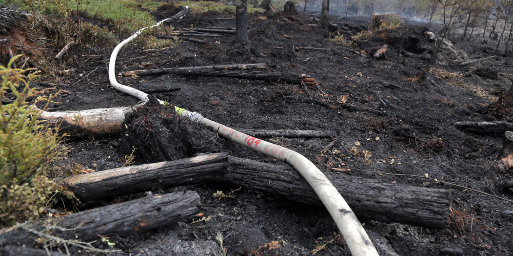 Лесной пожар в Валдгалской волости все еще не удалось ограничить