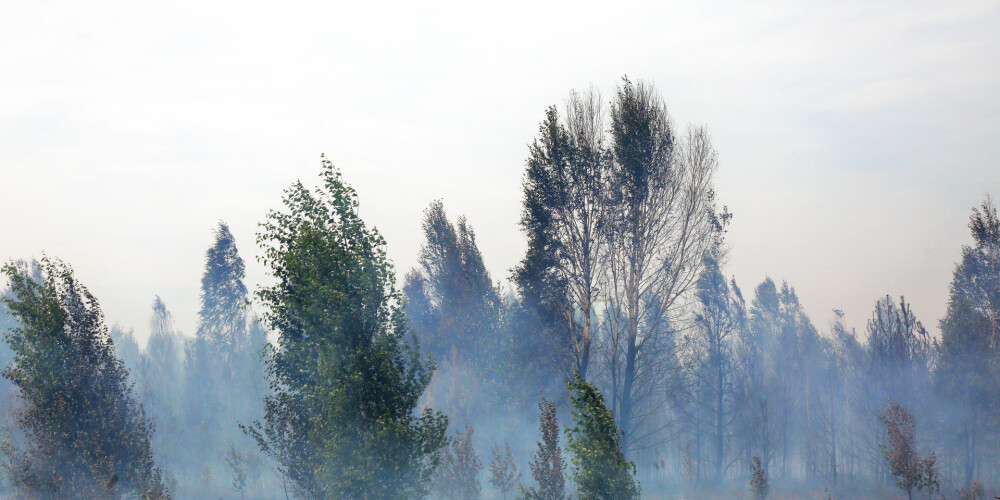 Plašo kūdras un meža ugunsgrēku joprojām nav izdevies nodzēst; smaka šodien var sasniegt arī Jūrmalu un pat Rīgu