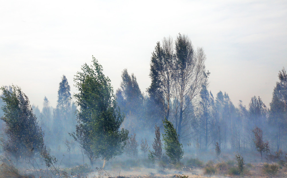 Plašo kūdras un meža ugunsgrēku joprojām nav izdevies nodzēst; smaka šodien var sasniegt arī Jūrmalu un pat Rīgu