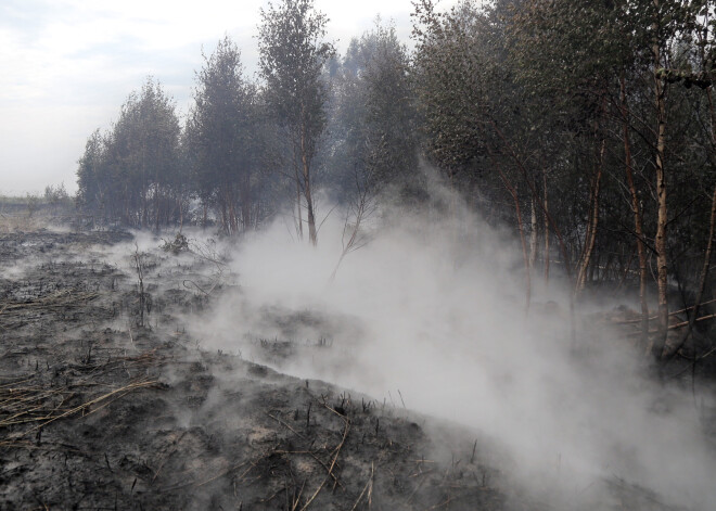 Valdemārpils pilsētas svētkiem skādē vērienīgā kūdras un meža ugunsgrēka dūmi