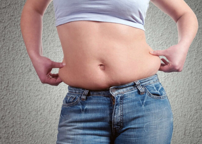 Oficiāls paziņojums: Kā Stokholmas diētu vērtē nozares speciālisti no Latvijas