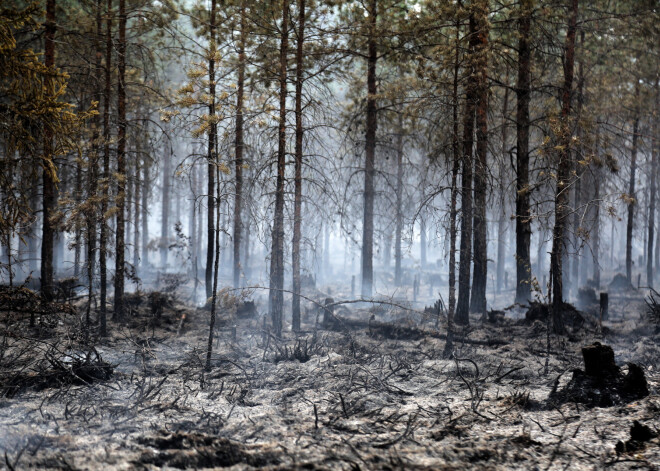 Dārgās sekundes Valdgales ugunsgrēka ierobežošanai zaudētas sadegušas ugunsdzēšamās iekārtas dēļ