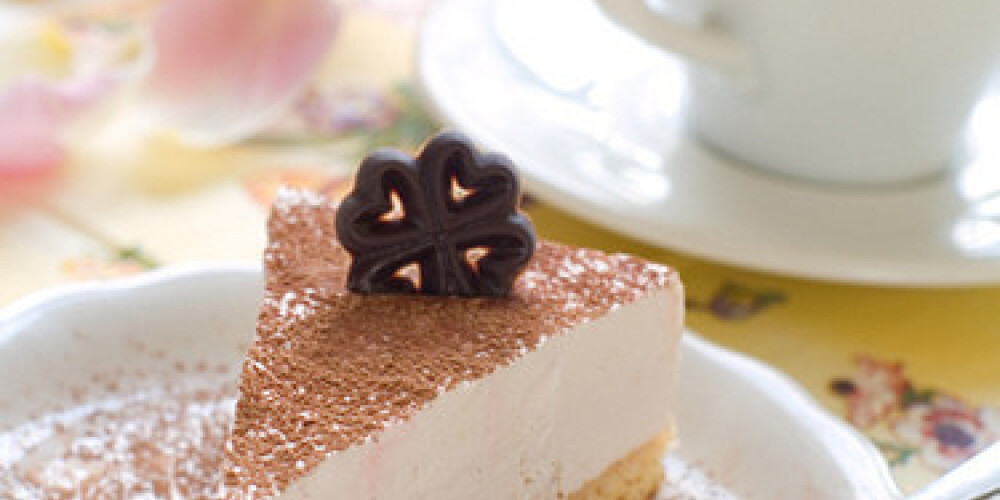 Cheesecake with fresh coffee and flower on background