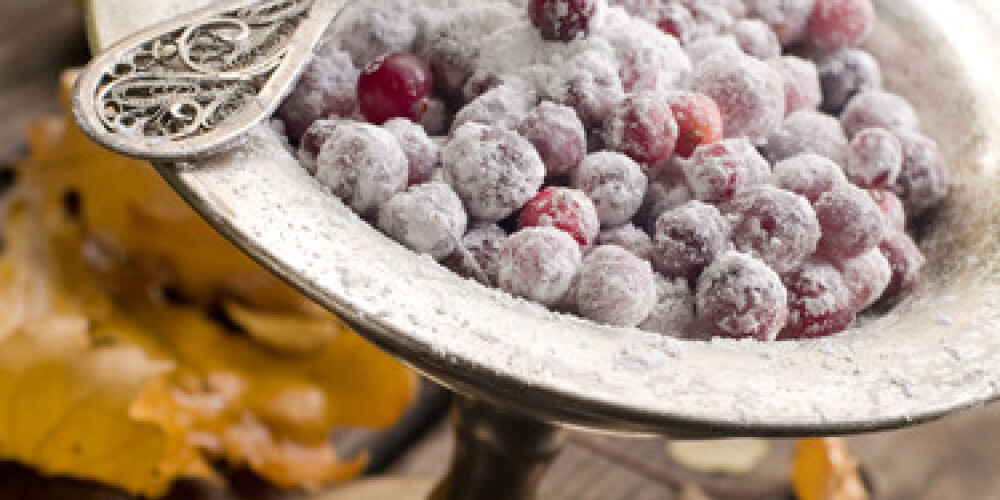 Ripe cranberry in sugar for dessert. Selective focus