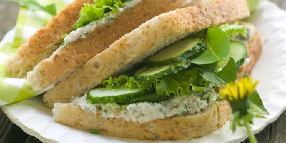 Healthy sandwich with fresh cheese, cucumber and lettuce for breakfast, selective focus