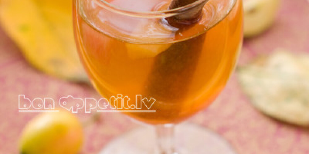 Apple wine or cider with cinnamon stick, selective focus