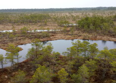 Dabas aizsardzības pārvalde meklē Ķemeru Nacionālā parka aizsardzības plāna izstrādātāju